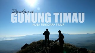 Pendakian Gunung Timau di PulauTimor Nusa Tenggara Timur [upl. by Ellenrad]