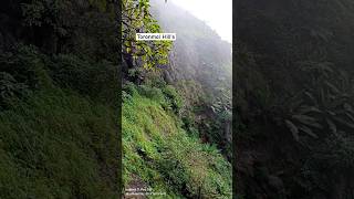 toranmal Hills station Maharashtra travel explorethebeautyofnature [upl. by Ellennad]