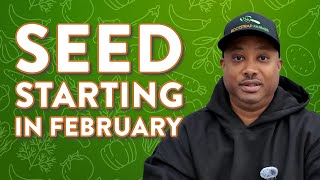 Sow these seeds in February and SLASH your grocery bill [upl. by Seira156]