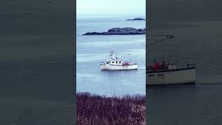 Lobster fishing North Atlantic 🦞🛥️🎣 [upl. by Rochell]