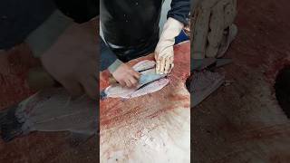 Learn the fastest way to fillet salmon [upl. by Nabois]