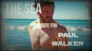 PAUL WALKER ♥ Tribute  11072024 HAEVN  The Sea [upl. by Gazo453]