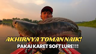 MELIHAT ADA IKAN DIMAKAN TOMAN‼️ AKHIRNYA KITA PANCING PAKAI UMPAN KARET LAGI‼️ [upl. by Oznofla718]