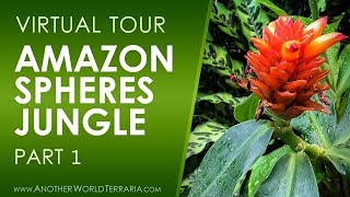 Amazon Spheres Tour Stunning Sanctuary in Seattle Part 1 [upl. by Rubio55]