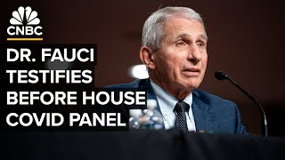 Dr Anthony Fauci testifies before House subcommittee on Covid19 pandemic — 632024 [upl. by Ennaehr]