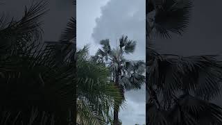 Hurricane Helene Part 1 Crime Scene Part 2 [upl. by Woodring106]