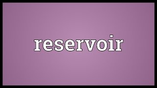 Reservoir Meaning [upl. by Ecinnej]