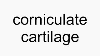 How to pronounce corniculate cartilage [upl. by Sesylu]