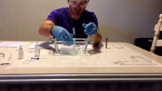 General Chemistry Lab 4  Properties of Gases [upl. by Zurc103]