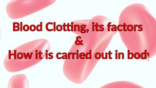 Blood Clotting Factors  Process and Mechanism  Fibrinogen  Thrombin  Factor 12 [upl. by Havstad640]