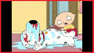 Family Guy Wheres My Money  Brian owes Stewie money [upl. by Crudden]