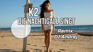 K2  Die Nachtigall Singt remix [upl. by Raymonds429]