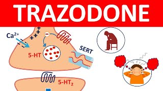 Trazodone tablets and Important Side effects [upl. by Montana]