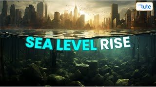 Sea Level Rise Causes amp Effects  Understanding the Impact of Climate Change  Letstute [upl. by Nnylram]