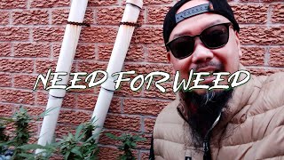 Need For Weed  Episode 11 [upl. by Kliment320]