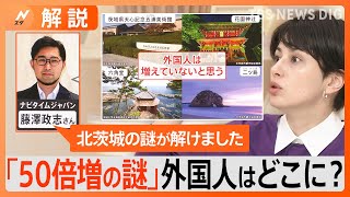 外国人観光客数が506倍に！北茨城市に観光客が急増したワケは“エルム・オン・ザ・ビーチ”【Nスタ解説】｜TBS NEWS DIG [upl. by Ceciley]