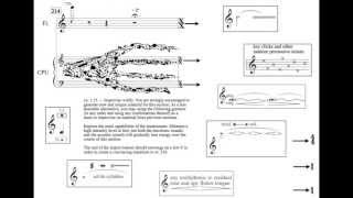 Fractus III for Flute and SuperCollider Audio amp Score [upl. by Rafaelof464]