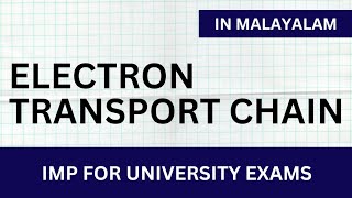 ELECTRON TRANSPORT CHAIN in Malayalam  Learn In [upl. by Kamilah]