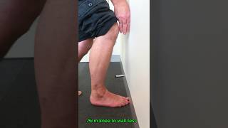 Stiff ankle Try this technique anklepaintreatment physiotherapy shorts [upl. by Remington]