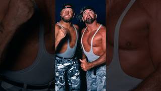 Outta10  The Bushwackers wwe wrestling sports entertanment [upl. by Marder]