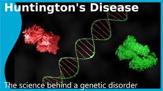 Huntingtons Disease The Science of a genetic disorder [upl. by Hadwyn]