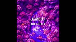 Lavandula  Arboreal Falls [upl. by Sibley842]