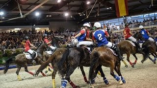 Alltech FEI WEG 2014  Behind the Scenes  10  Horse Ball [upl. by Aelyak]