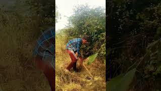 Farmers lover boy👦 🥰🥰🥰😘🤑🤑🤑🤑🤑🤑🤑🤑🤑 [upl. by Llecrup]