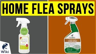 10 Best Home Flea Sprays 2020 [upl. by Marrilee]