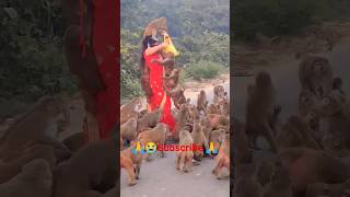 🙏 बहुत ही भूखी है मेरी family 🐒humanity respect monkey viralshort animals ytshorts friends 🙏🙏 [upl. by Notled902]