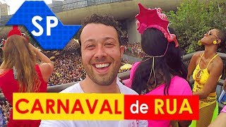 VALE A PENA curtir o CARNAVAL DE RUA de São Paulo [upl. by Noeruat]