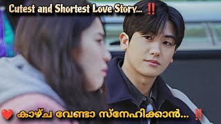 Two Lights Relumino 2015 Korean Movie Malayalam Explanation MOVIEMANIA25 Love story [upl. by Yehs227]