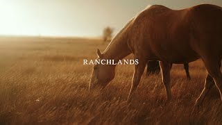 Ranchlands Horses at Sunset shot on Sony FX6 [upl. by Moishe]