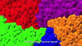 Onemicrosecond molecular dynamics simulation of channel gating in a nicotinic receptor homologue [upl. by Enaxor]