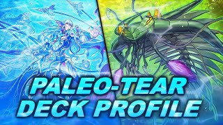 PALEO TEAR  WATER BROS VS FIRE META  Deck Profile Underwater Grind Game [upl. by Anirrak91]