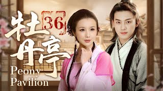 【ENG SUB】《牡丹亭 Peony Pavilion》第36集 大结局  国府千金爱上穷苦书生！（沙溢、孙菲菲、郭凯敏） [upl. by Rawden]