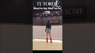 Tutorial What You Say What You Do Line Dance [upl. by Reppiks]