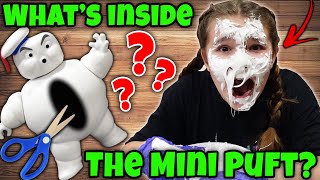 Whats Inside The Mini Puft From Ghost Busters He Ate The ELf On The Shelf  Cutting Open Villains [upl. by Welsh286]