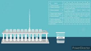 Effect of pH on urease enzyme activity [upl. by Vito828]