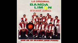 banda el limon con el coyote puras pa pistear [upl. by Jacob]