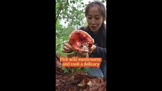 Pick wild mushrooms and cook a delicacy [upl. by Sherburne]