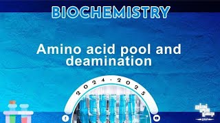 Rev of L27 Protein metabolism amino acid pool Oxidative deamination of amino acids Biochemistry [upl. by Chastity]