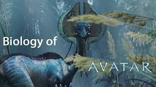 The Biology of James Cameron’s Avatar [upl. by Yalhsa]