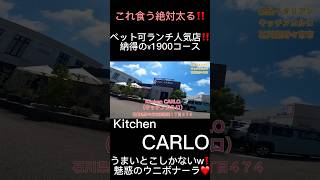 【野々市市•イタリアン🇮🇹】キッチン カルロ【Kitchen CARLO】の絶品パスタランチ‼️この内容で¥1900😋⁉️wコスパ最強すぎる石川県金沢市イタリアン [upl. by Kerek458]