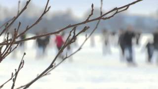 Schaatsen op natuurijs in Haren Groningen [upl. by Niamert240]