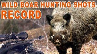 Wild Boar Hunting Shots Record  Chasse record au sanglier  2023 [upl. by Risan717]