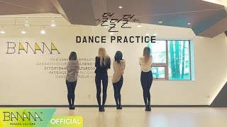 EXID이엑스아이디 덜덜덜 안무 영상DDD Dance Practice Video [upl. by Atul]