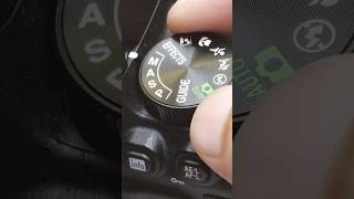 Nikon D5600 Camera Settings for Photography shorts [upl. by Bravar]