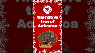 Whats the MOST FESTIVE Christmas Tree in New Zealand christmas christmassongs [upl. by Alhahs]