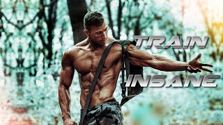 TRAIN INSANE  Aesthetic Fitness Motivation 😎 [upl. by Barayon]